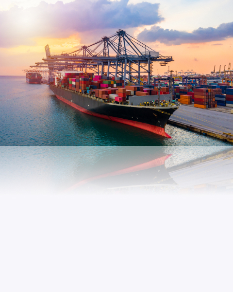 수출입업체 기대효과 이미지