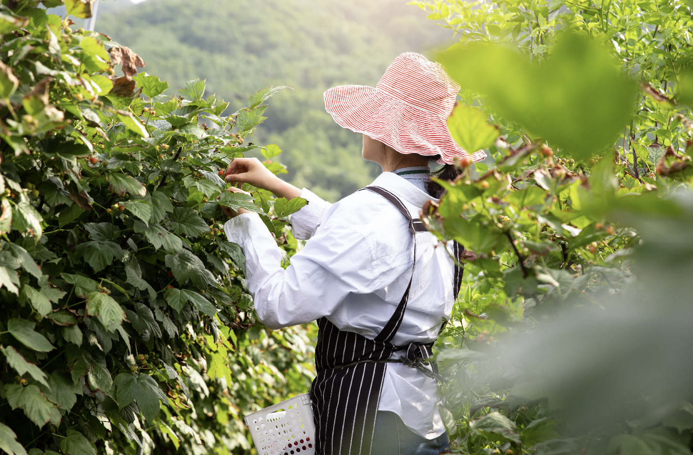 케이스스터디_농축산 s사-77.jpg